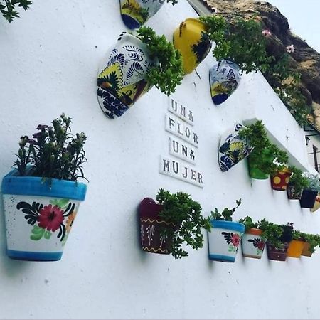 La Medina Baja Διαμέρισμα Setenil De Las Bodegas Εξωτερικό φωτογραφία